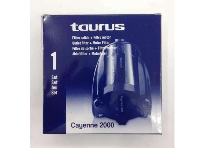 Imagen de Filtro de aspirador Taurus Cayenne 2000 recambio