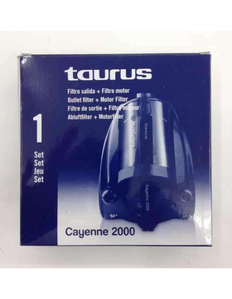 Imagen de Filtro de aspirador Taurus Cayenne 2000 recambio