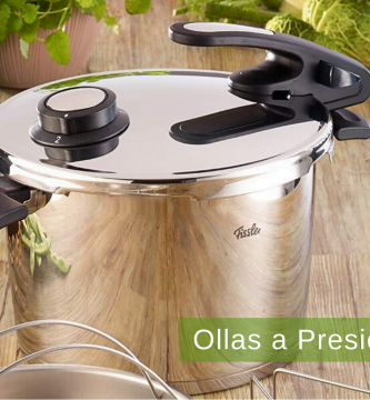 Olla a presión Fissler